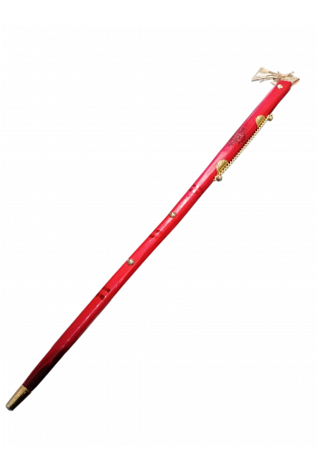 #4507 IMG_7723603214830009434