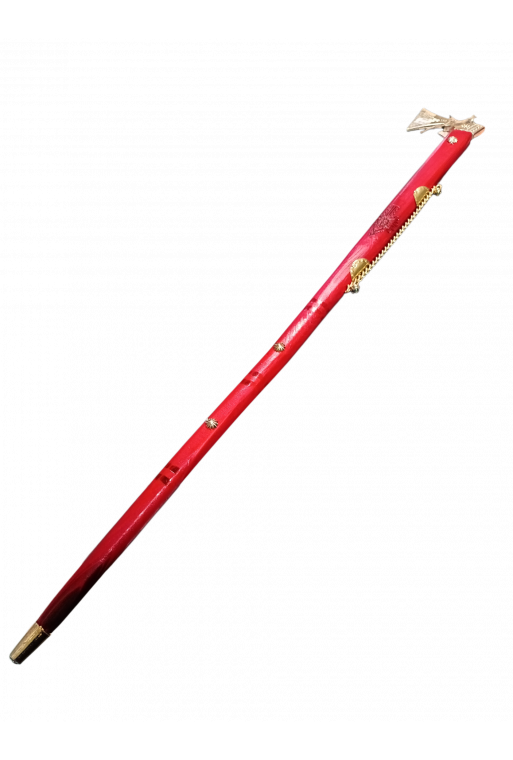 #4507 IMG_7723603214830009434